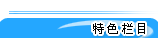 特色栏目